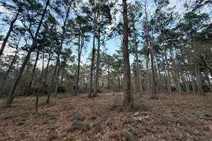 5772 Pr 2065, Centerville, TX 75833 - Photo 1