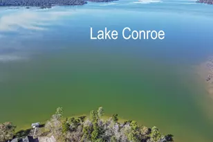 0 Elmore, Willis, TX 77318 - Photo 9