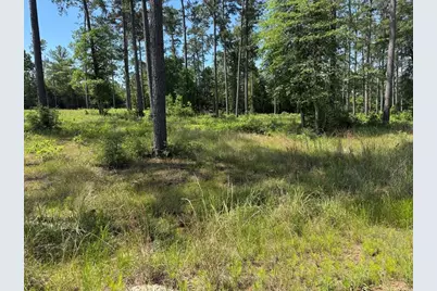 008 Private Road 6028 Tract 1-8, Brookeland, TX 75931 - Photo 9