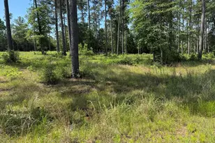 008 Private Road 6028 Tract 1-8, Brookeland, TX 75931 - Photo 9