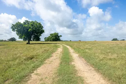 6550 Gibbs Creek Road, Chappell Hill, TX 77426 - Photo 5