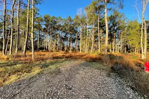 11303 Annie Creek Dr, Willis, TX 77378 - Photo 1