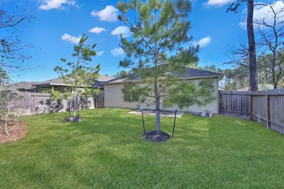 4340 S Amber Ruse, Conroe, TX 77304 - Photo 35