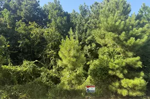 2303 County Rd 3405, Cleveland, TX 77327 - Photo 1