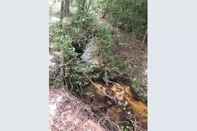 60 Pr 1315, Centerville, TX 75833 - Photo 29