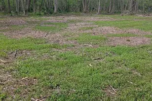 248 Co Rd 185, Liberty, TX 77575 - Photo 1