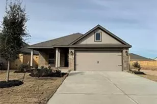 30338 Centipede Grove, Fulshear, TX 77423 - Photo 1