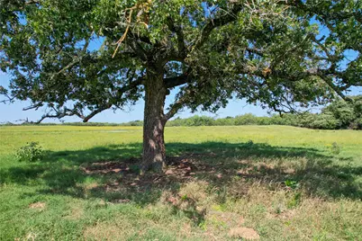 Tract 1 Cr 419, Bremond, TX 76629 - Photo 21