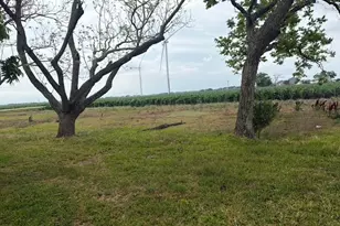 3787 Fm 1162 Rd, El Campo, TX 77437 - Photo 19