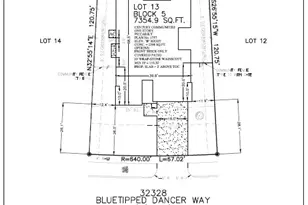 32328 Bluetipped Dancer, Fulshear, TX 77441 - Photo 23