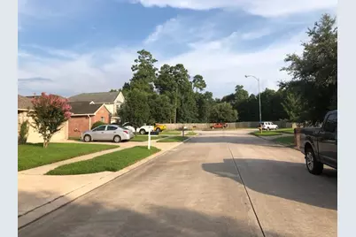 28814 Waltham Street, Spring, TX 77386 - Photo 3