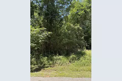 Tbd Lake Drive, Onalaska, TX 77360 - Photo 3