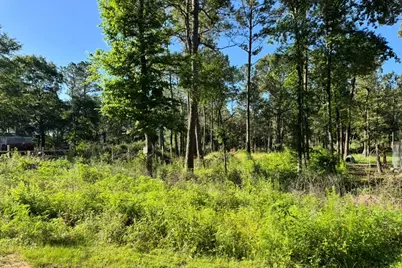 8020 Tawnyberry Lane, Plantersville, TX 77363 - Photo 3