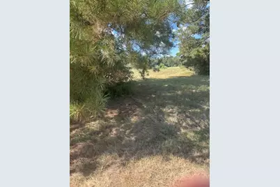 Lot 16 Long Iron, Trinity, TX 75862 - Photo 27