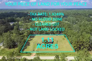 271 Woodman Dr, Cleveland, TX 77328 - Photo 11