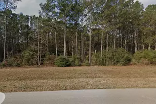 10914 Ruger Rd, Willis, TX 77378 - Photo 1