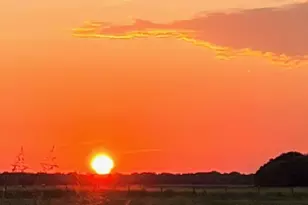 7391 Fm 2546, El Campo, TX 77437 - Photo 49