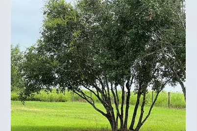 7391 Fm 2546, El Campo, TX 77437 - Photo 41