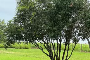 7391 Fm 2546, El Campo, TX 77437 - Photo 41