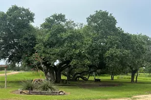 7391 Fm 2546, El Campo, TX 77437 - Photo 9