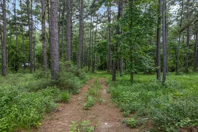 5772 Pr 2065, Centerville, TX 75833 - Photo 15