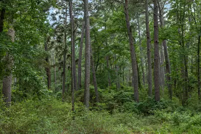5772 Pr 2065, Centerville, TX 75833 - Photo 17