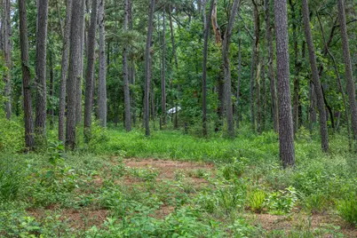 5772 Pr 2065, Centerville, TX 75833 - Photo 3