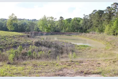 Tbd Harrell Road, Coldspring, TX 77331 - Photo 15