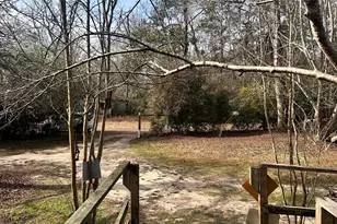 1503 Co Rd 4455, Woodville, TX 75979 - Photo 39