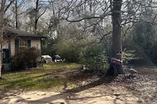 1503 Co Rd 4455, Woodville, TX 75979 - Photo 7