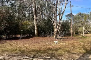 1503 Co Rd 4455, Woodville, TX 75979 - Photo 33