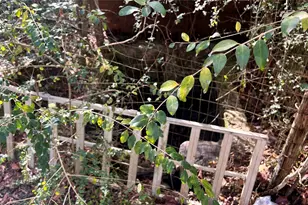 1503 Co Rd 4455, Woodville, TX 75979 - Photo 29