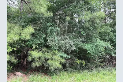 0020 English Rd Road, Bedias, TX 77831 - Photo 7