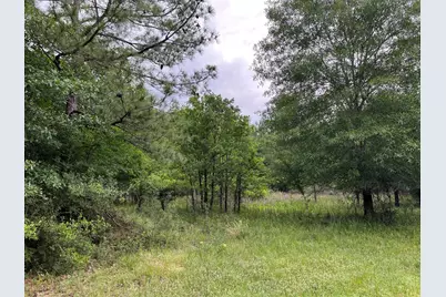 0020 English Rd Road, Bedias, TX 77831 - Photo 1