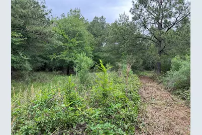 0020 English Rd Road, Bedias, TX 77831 - Photo 5