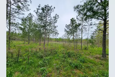 001 County Road 3375, Lovelady, TX 75851 - Photo 11