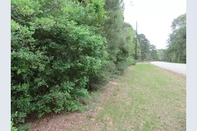 23110 Glenmont Estates Boulevard, Magnolia, TX 77355 - Photo 1