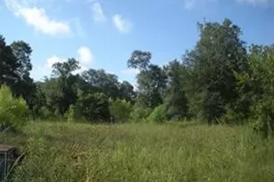 1108 Miracle Dr Dr, Conroe, TX 77301 - Photo 9