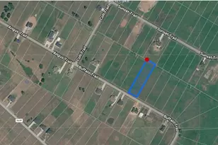 466 Angus Trail, Angleton, WA 77515 - Photo 1