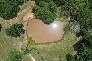 747 Fcr 300, Oakwood, TX 75855 - Photo 45