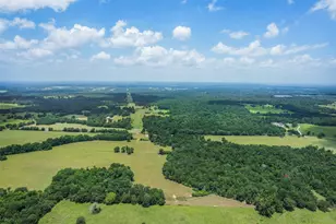 747 Fcr 300, Oakwood, TX 75855 - Photo 39