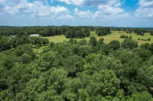 747 Fcr 300, Oakwood, TX 75855 - Photo 29