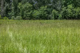 747 Fcr 300, Oakwood, TX 75855 - Photo 25