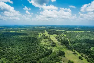 747 Fcr 300, Oakwood, TX 75855 - Photo 41