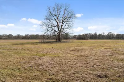 Tract 4 Cr 117, Hungerford, TX 77448 - Photo 23