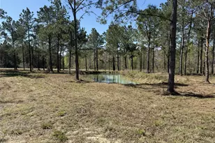 521 Rolling Pnes Dr, Livingston, TX 77351 - Photo 1