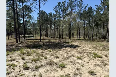 521 Rolling Pines Dr, Livingston, TX 77351 - Photo 3