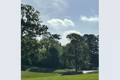 Tbd Knottypine Rd, Livingston, TX 77351 - Photo 7