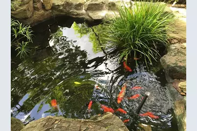 3942 W Alabama Street #5, Houston, TX 77027 - Photo 17