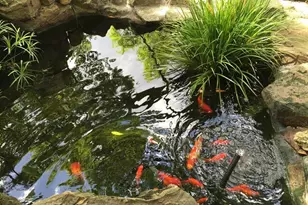 3942 W Alabama St, Houston, TX 77027 - Photo 17